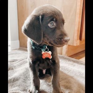 Meet your Posher, Ajay